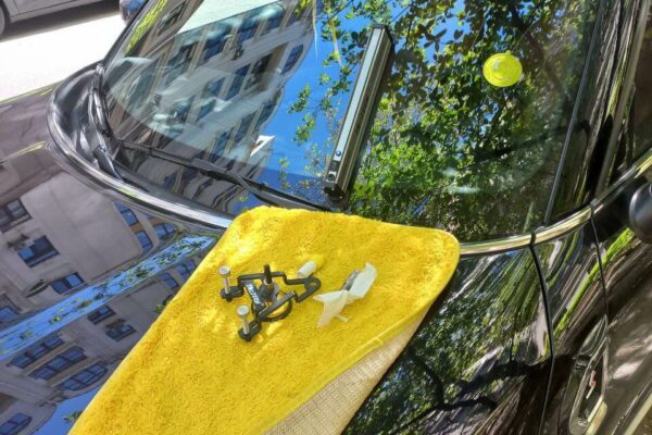 Видалення тріщин на автомобільному склі у Києві